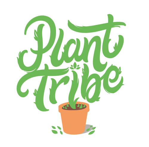 Plant Tribe Bahrain